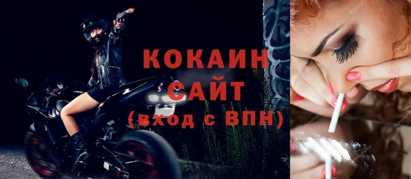 прущие грибы Верхний Тагил