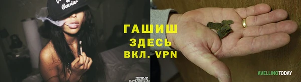 прущие грибы Верхний Тагил