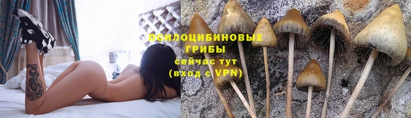 mdma Верея