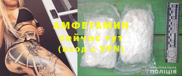прущие грибы Верхний Тагил
